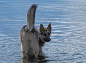 35 si consola in acqua!